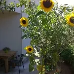 Apartment Anny