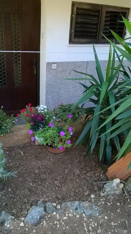 Anny Apartment